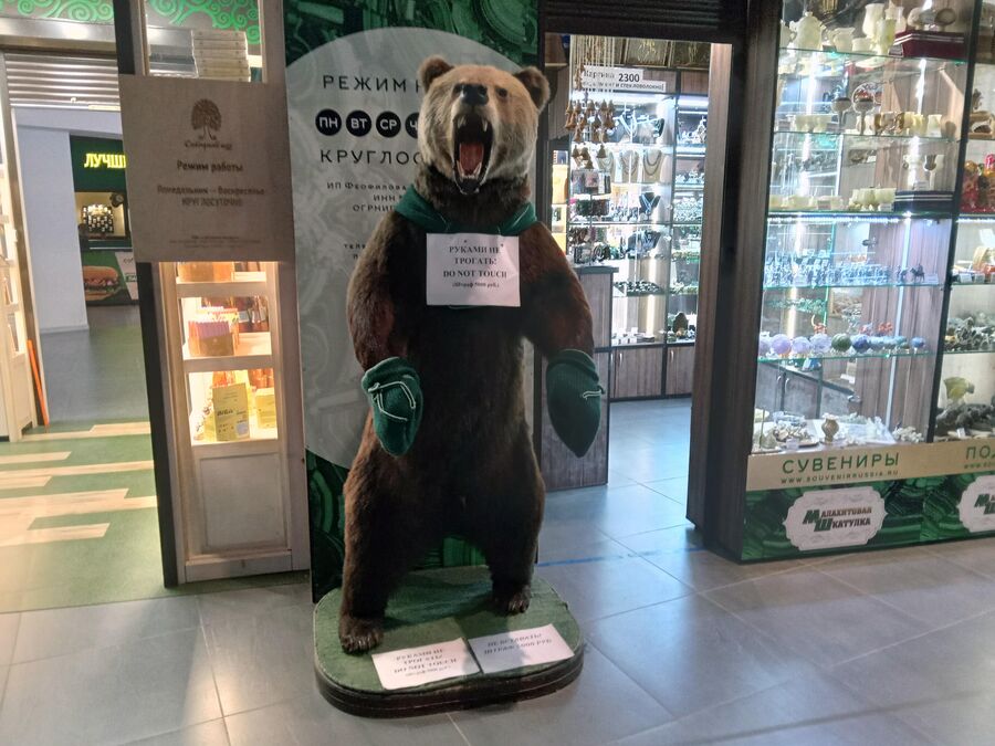 Пермский медведь в аэропорту