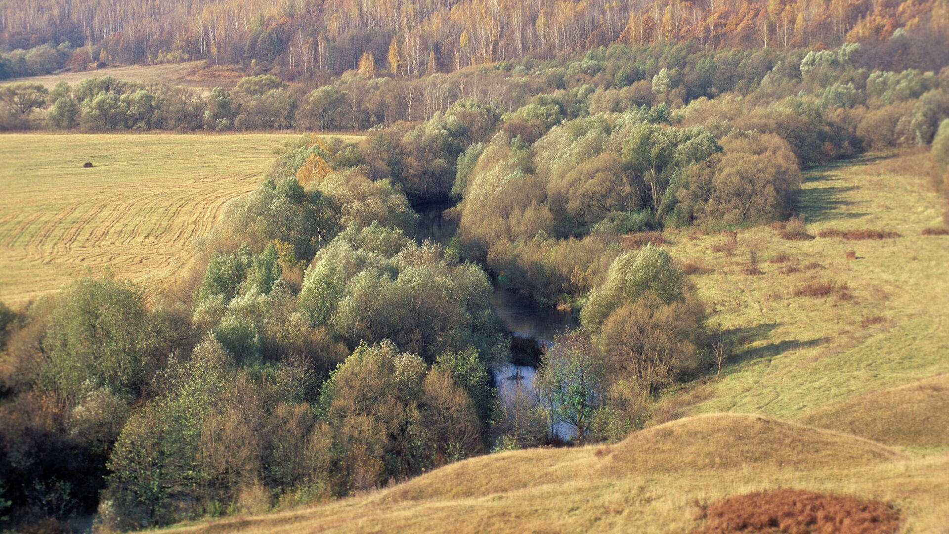  Осень в Орловской области - РИА Новости, 1920, 24.11.2021