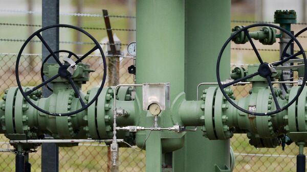 Запасов газа крупнейшего оператора Чехии хватит на три недели