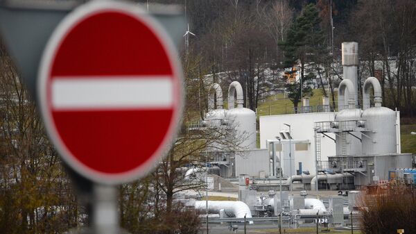 В Германии спрогнозировали мрачные последствия отказа от российского газа