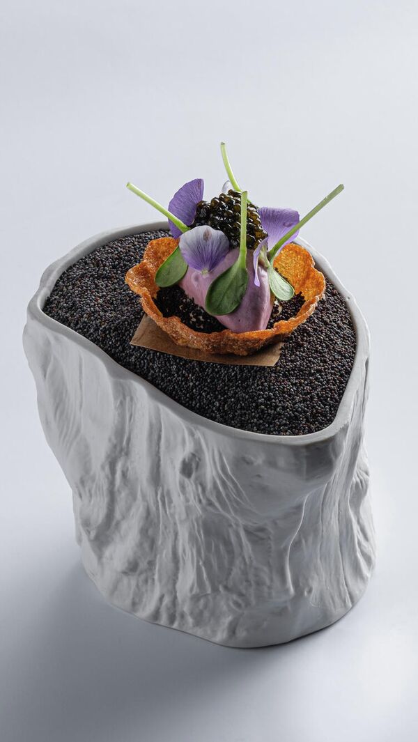 Картофель Картофель