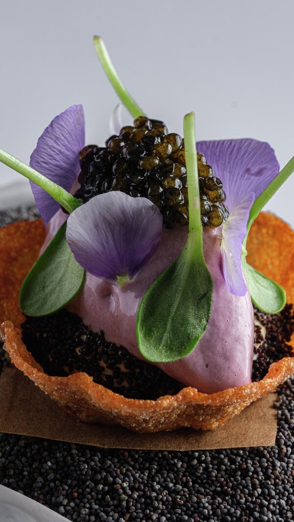 Картофель Картофель