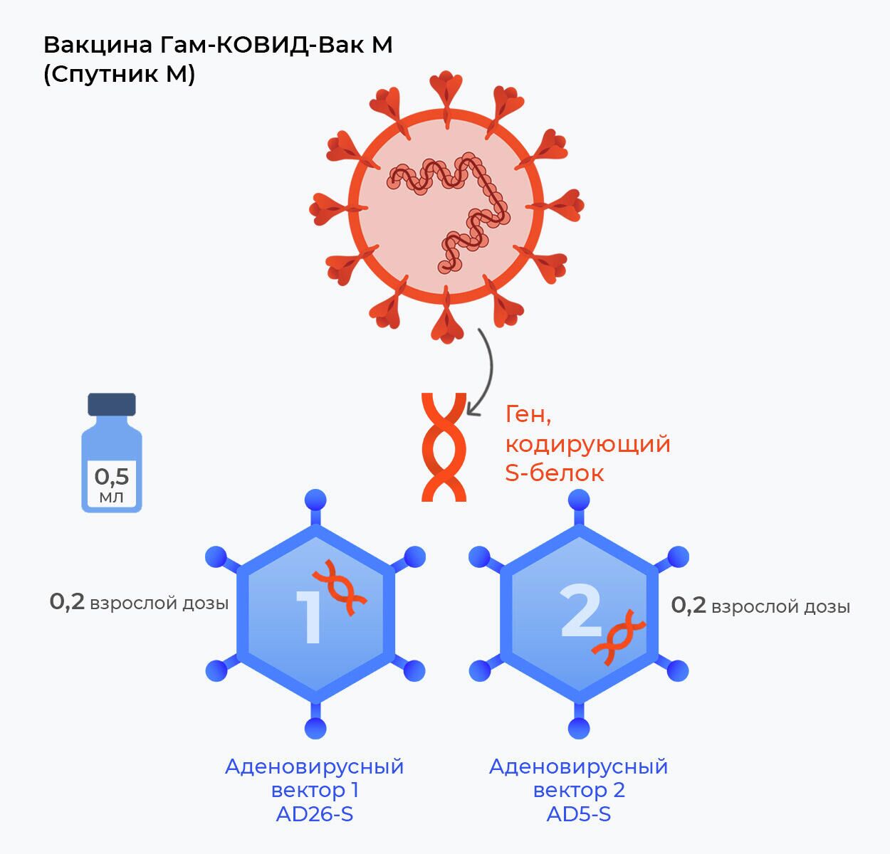 Вакцина Спутник М - РИА Новости, 1920, 25.11.2021