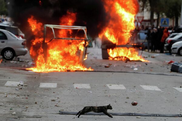 Кошка пробегает мимо горящих баррикад во время протестов металлургов на одной из улиц в Кадисе, Испания