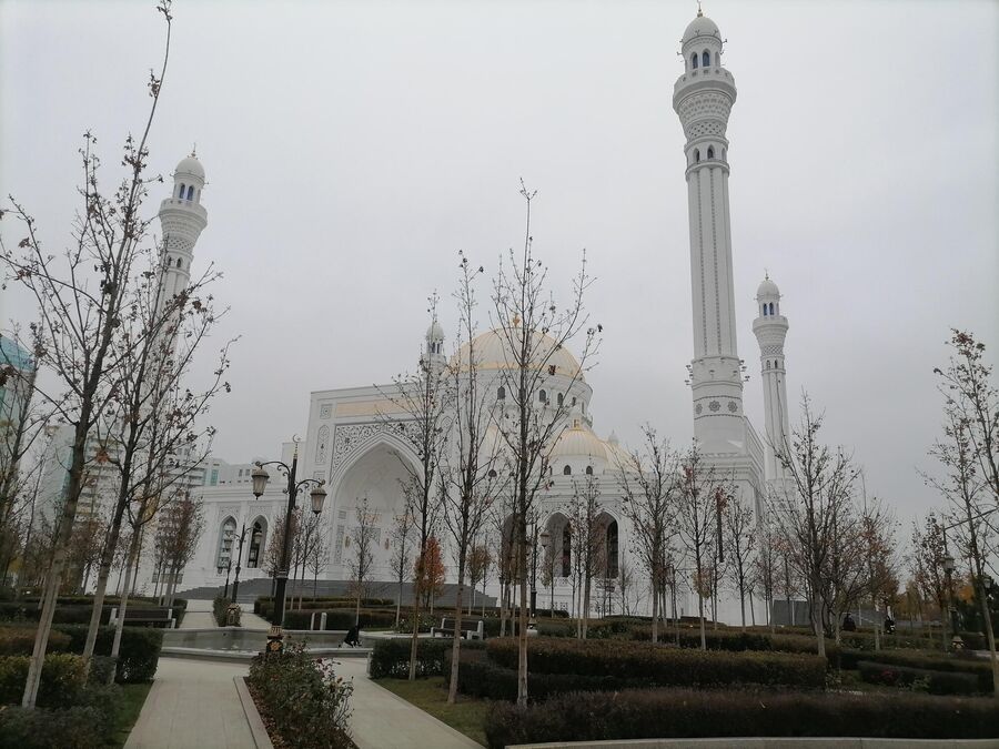 Вид на мечеть в Шали