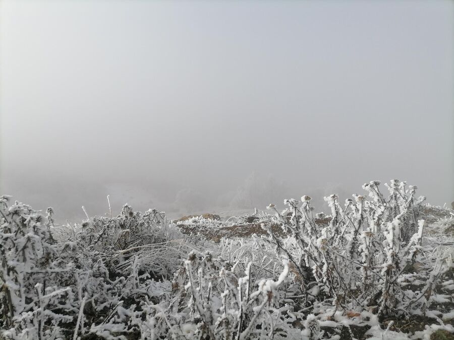 Туман в Ингушетии