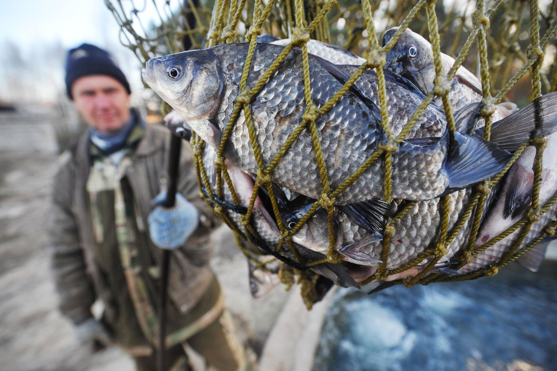 Порт на замок: почему китайцы отказываются покупать российскую рыбу