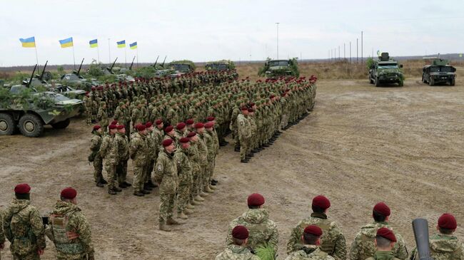 Учения ВСУ в Житомирской области