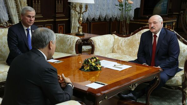 Президент Белоруссии Александр Лукашенко и председатель Государственной Думы России Вячеслав Володин во время встречи