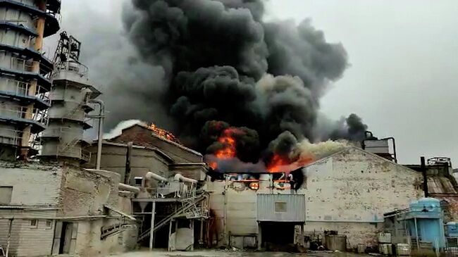 Пожар на сахарном заводе в Курской области. Видео МЧС