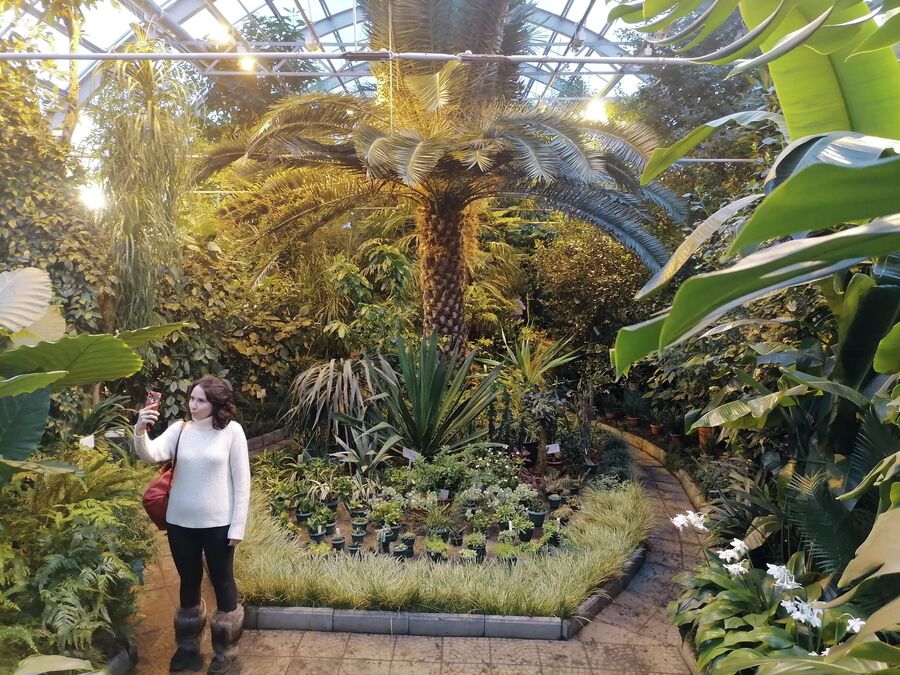 Экскурсия в оранжерее Полярно-альпийского ботанического сада-института