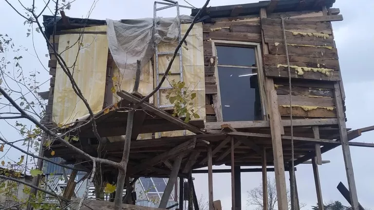 Дом на дереве в Сириусе