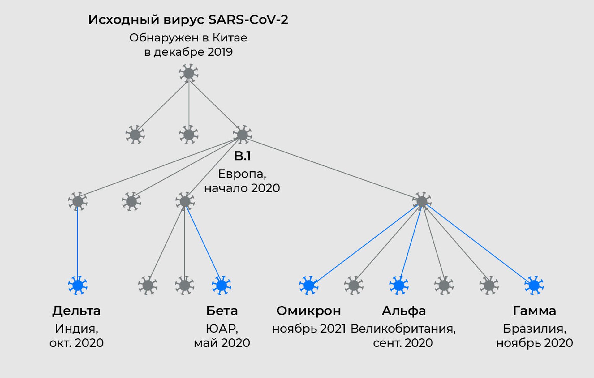 Эволюция вируса SARS-CoV-2 - РИА Новости, 1920, 06.12.2021