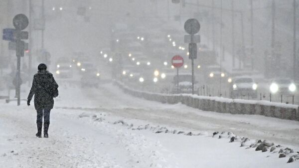 Женщина идет вдоль Ленинского проспекта во время снегопада в Москве