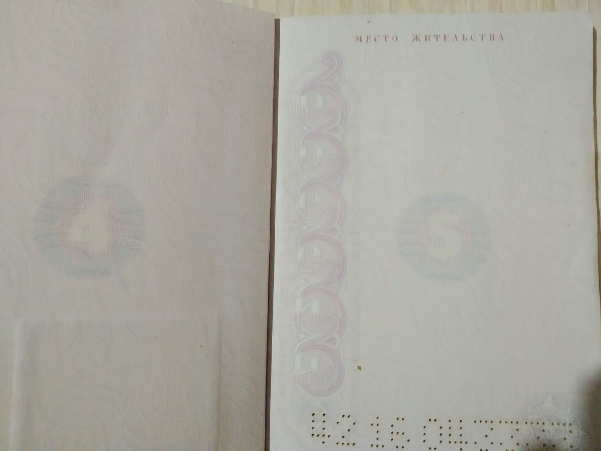 Паспорт Татьяны - РИА Новости, 1920, 07.12.2021