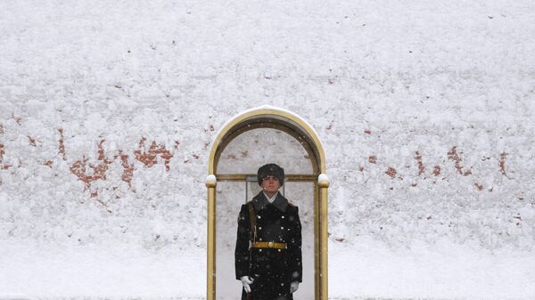 Пост почетного караула на Красной площади в Москве во время снегопада