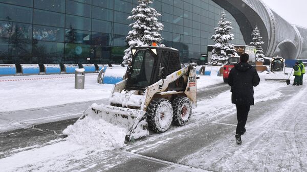 Рабочие расчищают территорию международного аэропорта Домодедово имени М. В. Ломоносова от снега