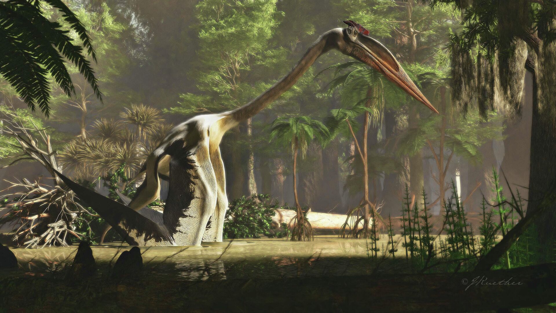  Художественное изображение птерозавра Quetzalcoatlus northropi - самого большого летающего животного, когда-либо жившего на Земле - РИА Новости, 1920, 08.12.2021
