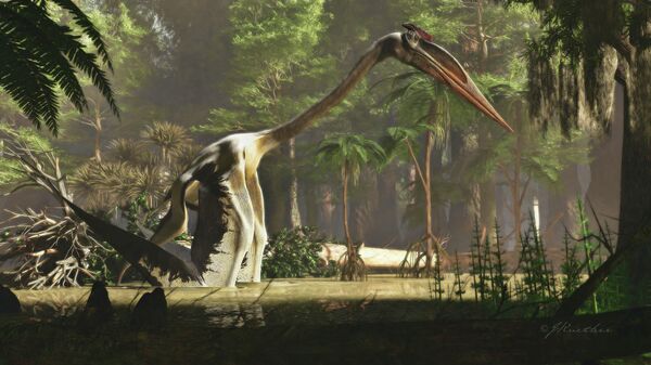  Художественное изображение птерозавра Quetzalcoatlus northropi - самого большого летающего животного, когда-либо жившего на Земле
