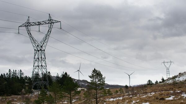В Швеции предупредили о возможных проблемах с электричеством зимой
