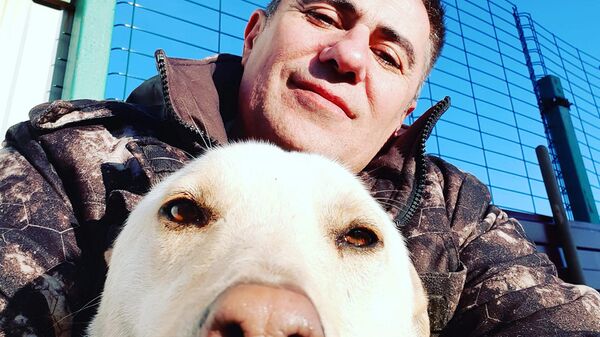 Житель Подольска продал бизнес, чтобы помогать бездомным собакам 