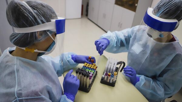 Медицинские работники обрабатывают полученный биоматериал для выявления антител к вирусу SARS-CoV-2