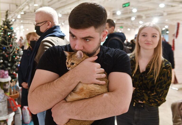 Мужчина обнимает кошку британской породы на Международной выставке кошек в Минске