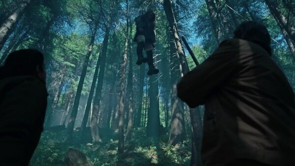 Кадр из сериала Тайны леса