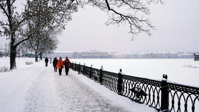 Заснеженная Кронверкская набережная в Санкт-Петербурге