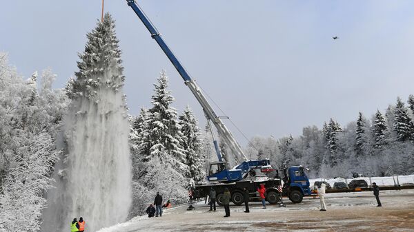 Специалисты поднимают автокраном главную новогоднюю елку страны, срубленную в деревне Новопареево 