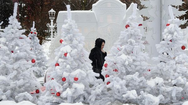 Девушка гуляет в центральном парке Киева накануне Нового года