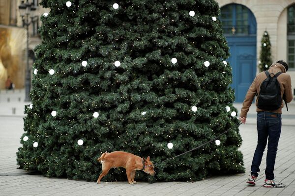 Мужчина гуляет с собакой в Париже 