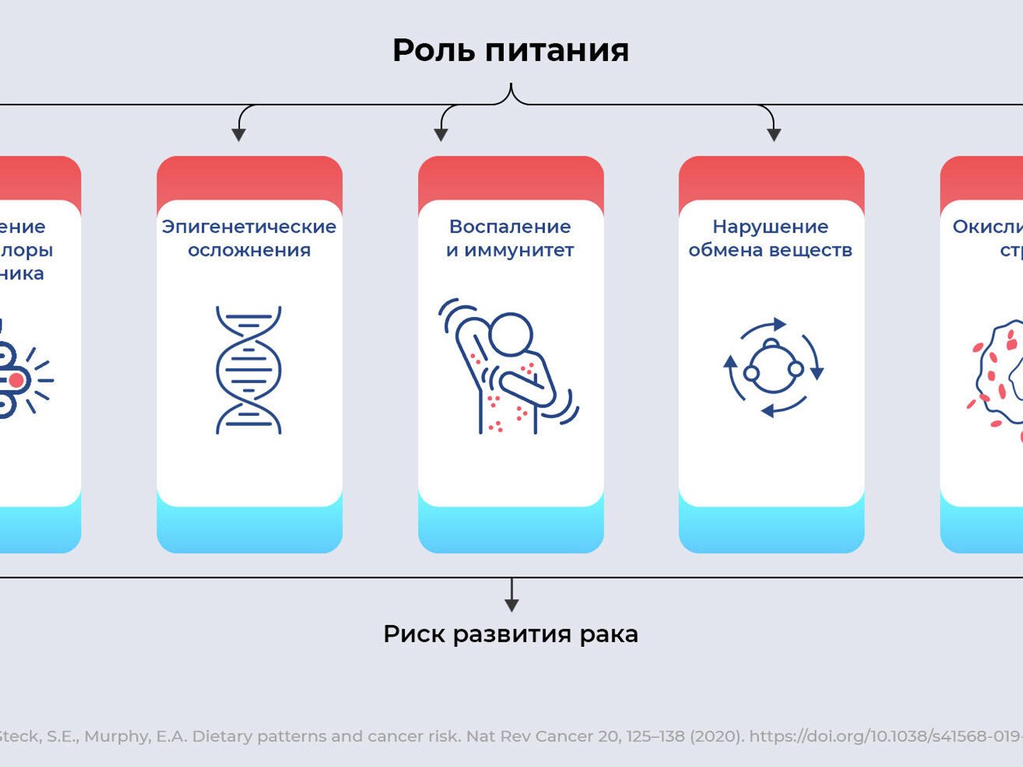 Опухоль на диете. Как питание связано с раком - РИА Новости, 20.12.2021