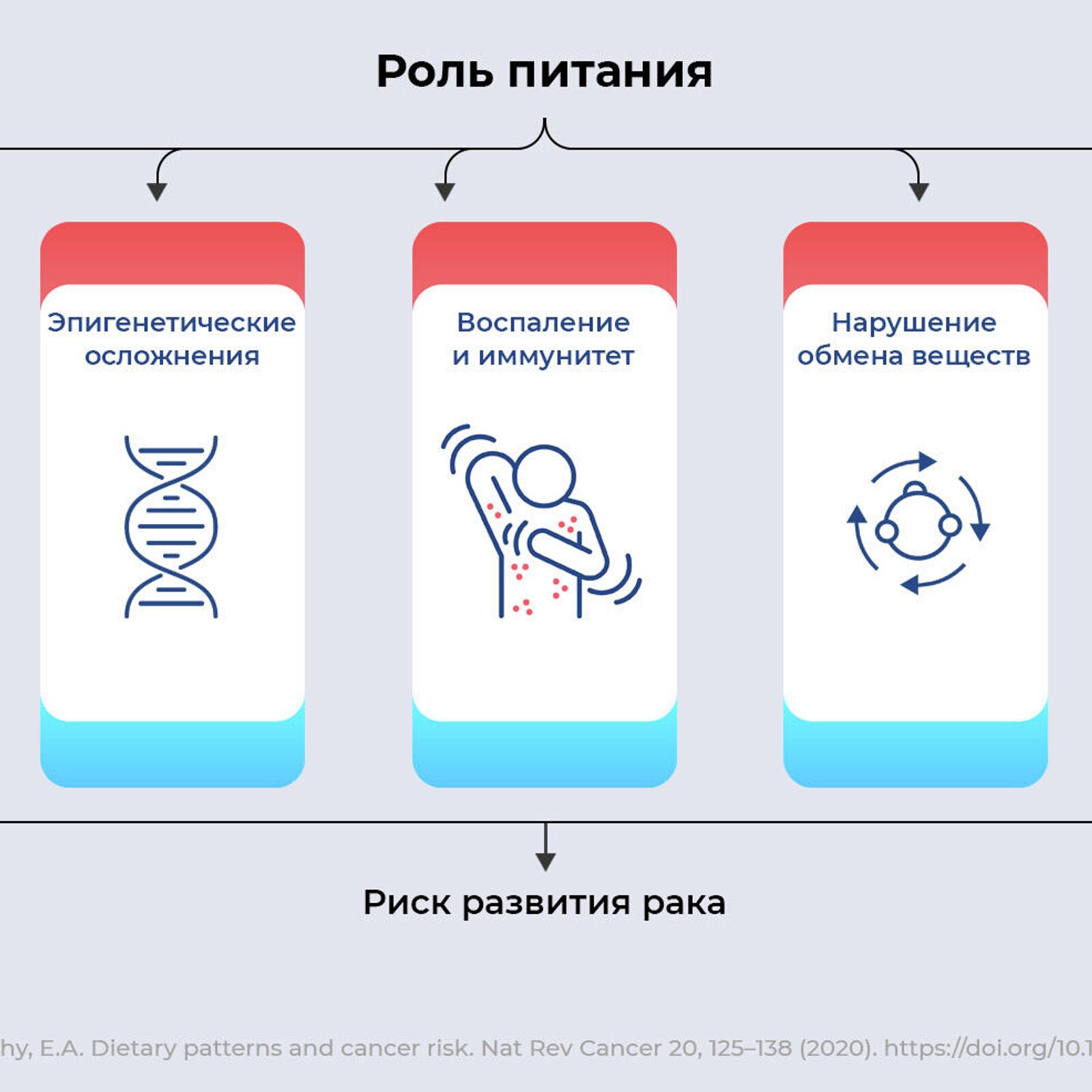 Опухоль на диете. Как питание связано с раком - РИА Новости, 20.12.2021