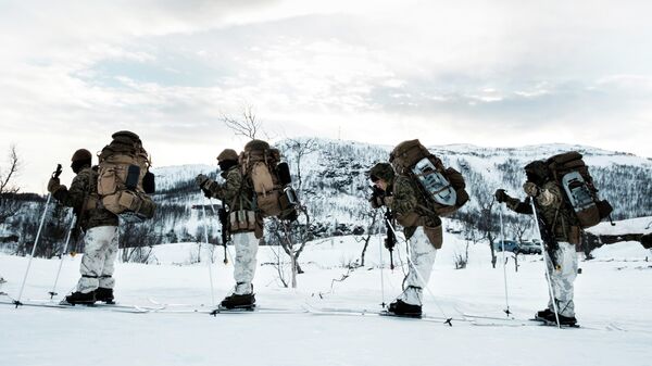 Американские военные во время учений НАТО в Норвегии