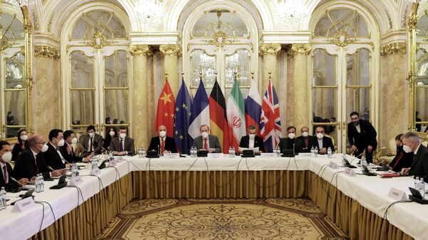 Участники заседания Совместной комиссии по реализации СВПД в Вене