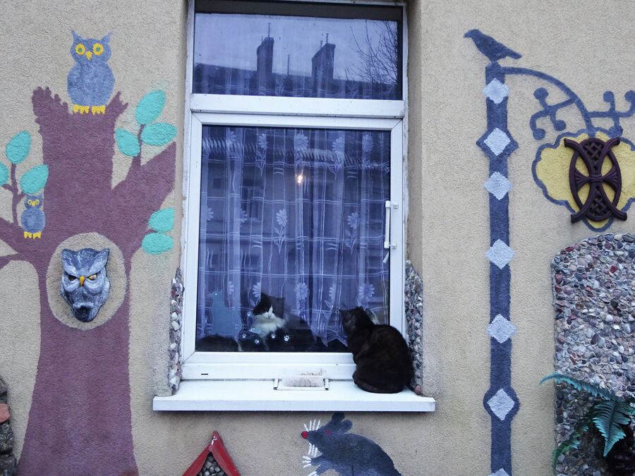 В Кошачьем дворе много настоящих и нарисованных котов