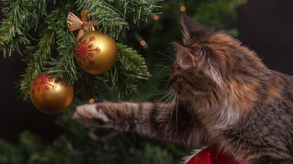 Кошка возле новогодней елки