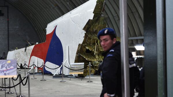 У следствия по MH17 мало данных для новых процессов, заявили в Нилерландах