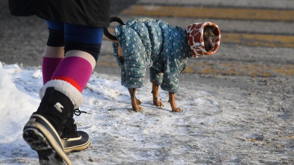 Девушка с собакой на улице в Москве