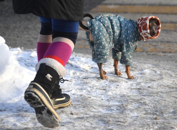 Человек с собакой на улице в Москве