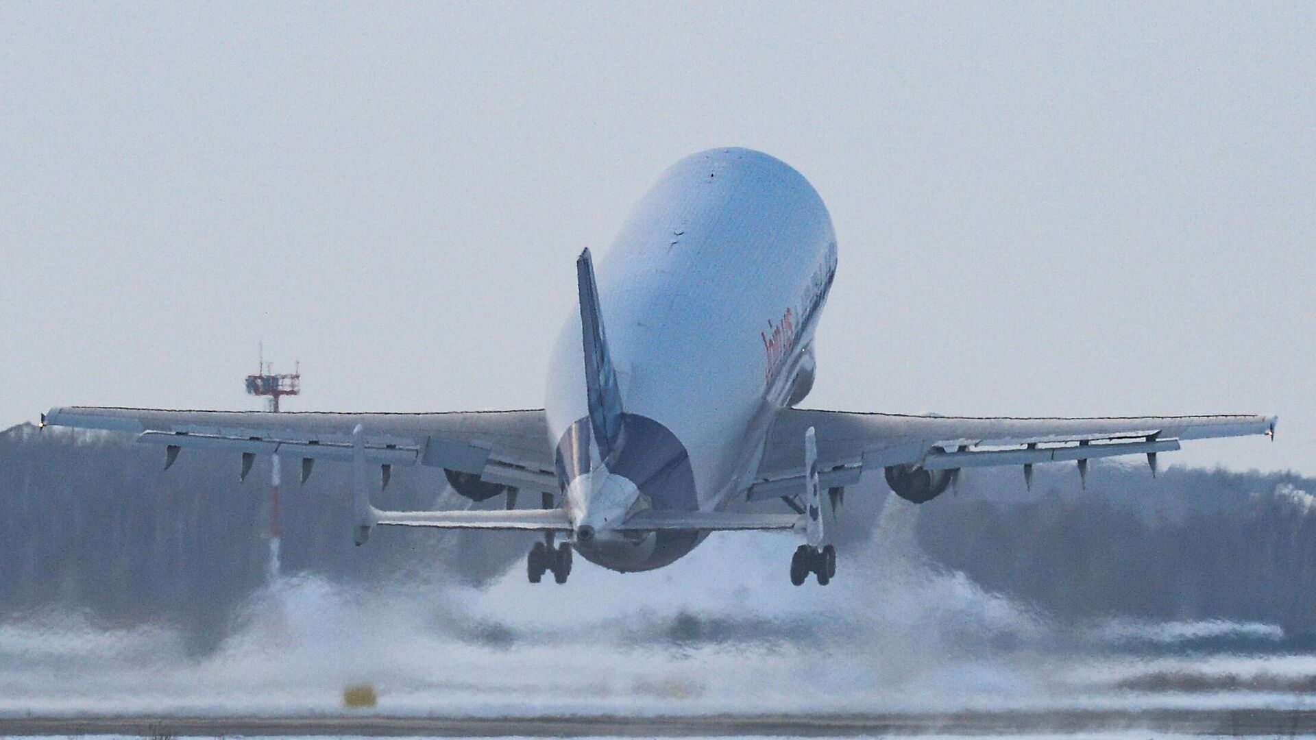 Широкофюзеляжный реактивный грузовой самолёт Airbus Beluga - РИА Новости, 1920, 02.03.2022