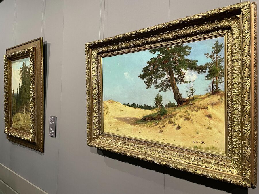 Картины Ивана Шишкина Сосна на песке и Лес с горы на выставке Покой и радость в Манеже