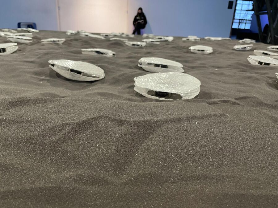Инсталляция «Моллюски» (Clams) Марко Баротти на выставке «HYDRA. Искусство новых медиа в контексте экотревожности» в «Севкабель Порту» 