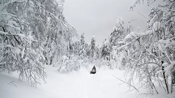 ペルミ地方のポリュドフ・カメン山へ向かうスノーモービル