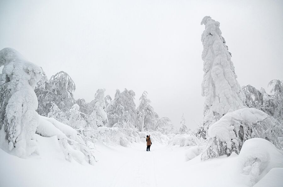 Девушка фотографирует заснеженный лес по дороге на гору Полюдов камень в Пермском крае