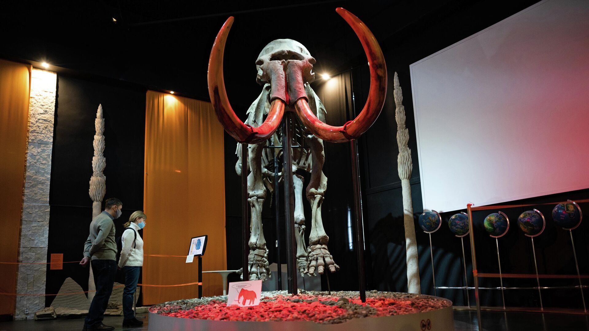 Посетители Музея пермских древностей рассматривают скелет обнаруженного в 1927 году Пермского мамонта - РИА Новости, 1920, 11.08.2023