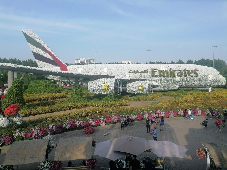 Вид на самолет А380 из цветов в Miracle Garden
