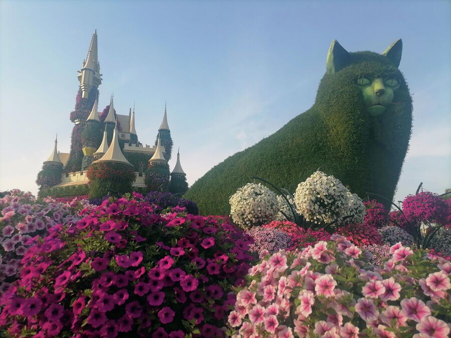 Замок и кот в Miracle Garden