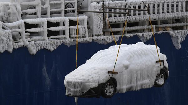 Разгрузка легковых автомобилей, покрытых толстым слоем льда, с сухогруза Sun Rio в порту Владивостока
